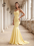 Daffodil Satin Mermaid V-Neck Side Zip Floor-Length Dress with Pleated Bodice - Curvevia