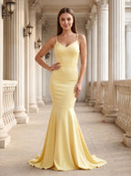 Daffodil Satin Mermaid V-Neck Side Zip Floor-Length Dress with Pleated Bodice - Curvevia