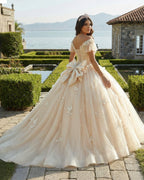 Off The Shoulder Butterfly Quinceanera Dress Glitter Ball Gown - Curvevia