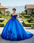 Royal Blue Tulle Off The Shoulder Quinceanera Dress - Curvevia