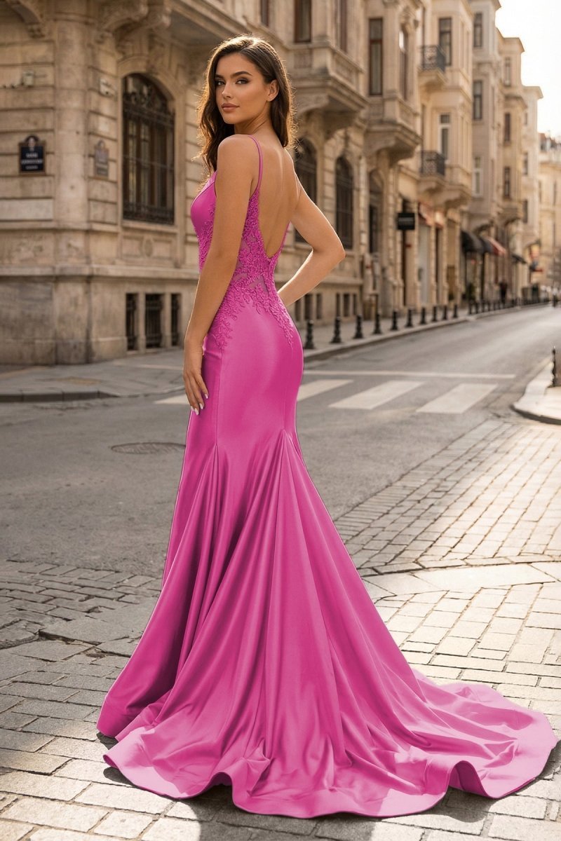 Spaghetti Straps Light Blue Appliques Mermaid Evening Dress - Curvevia