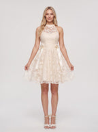 Ivory Lace A-Line Scoop Neckline Back Zip Short Dress with Scalloped Bodice - Curvevia