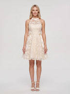 Ivory Lace A-Line Scoop Neckline Back Zip Short Dress with Scalloped Bodice - Curvevia