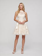 Ivory Lace A-Line Scoop Neckline Back Zip Short Dress with Scalloped Bodice - Curvevia