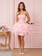 Petal Tulle A-Line Straight Neck Back Zip Short Dress with Floral Appliques - Curvevia