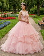 Pink A Line Organza Floor-Length Prom Dress with Appliqued - Curvevia