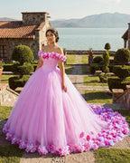 Pink Cathedral Train 3D Flowers Applique Wedding Gown Quinceanera Dresses - Curvevia