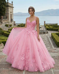 Pink Tulle Floral Appliques Sweetheart Lace-Up Quinceanera Dress - Curvevia