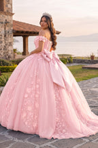 Off Shoulder 3D Floral Applique Quinceanera Dresses - Curvevia