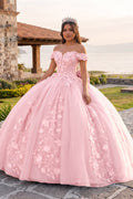 Off Shoulder 3D Floral Applique Quinceanera Dresses - Curvevia