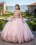 Pink Sweetheart Neckline Quinceanera Ball Gown Dress - Curvevia
