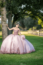 Pink Sweetheart Neckline Quinceanera Ball Gown Dress - Curvevia