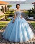 Quinceanera Dress Princess Short Sleeve Ball Gown Sequins Party Dresses - Curvevia