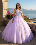Princess Flowers Lavender Flowers Quinceanera Dresses Ball Gown - Curvevia