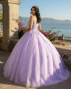 Princess Flowers Lavender Flowers Quinceanera Dresses Ball Gown - Curvevia