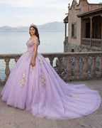 Princess Off the Shoulder Appliques Chapel Train Quinceanera Dresses - Curvevia