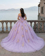 Princess Off the Shoulder Appliques Chapel Train Quinceanera Dresses - Curvevia