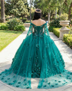 Dark Green Organza Off-the-Shoulder Ball Gown Quinceanera Dress - Curvevia