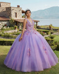 Princess Tulle Long Quinceanera Dresses with Flower - Curvevia