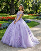 Lavender Off The Shoulder Tulle Appliques Ball Gown Dress - Curvevia