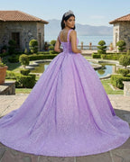 Purple Sweetheart Sequined Evening Party Dress - Curvevia