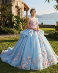 Quinceanera Sky Blue Flower Ball Gown Dress - Curvevia