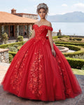 Big Bow Floral Flower Lace Applique Off Shoulder Ball Gown Quinceanera Dresses - Curvevia