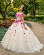 Romantic Heart  Off-the-Shoulder Tulle Quinceañera Dress - Curvevia