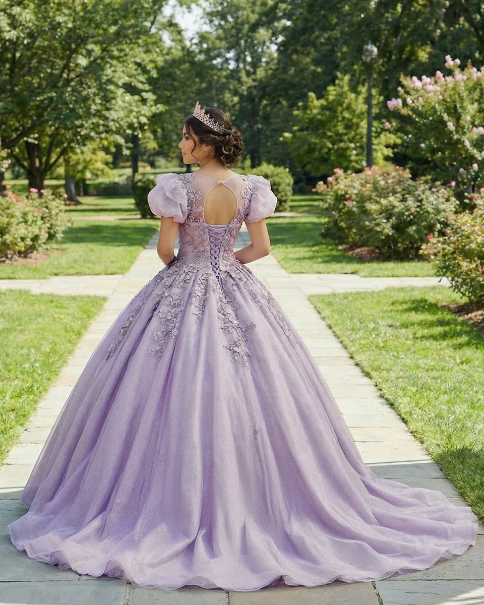 Romantic Quinceanera Organza Dress Ball Gown - Curvevia