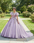 Romantic Quinceanera Organza Dress Ball Gown - Curvevia