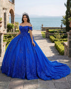 Royal Blue Ball-Gown Appliques Quinceanera Dresses with Train - Curvevia
