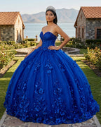 Royal Blue Ball Gown Quinceanera Dress With 3D Flowers - Curvevia