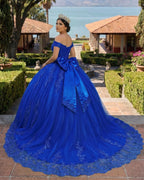 Lace Tulle Sage Applique Off Shoulder Quinceanera Dresses - Curvevia