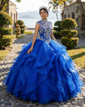 Royal Blue Organza High Neck Quinceanera Dresses Burgundy Prom Dresses - Curvevia
