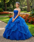 Royal Blue Quinceanera Dresses Organza Lace Applique Prom Dresses - Curvevia