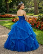 Royal Blue Quinceanera Dresses Organza Lace Applique Prom Dresses - Curvevia