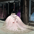 Pink Ball Gown Tulle Off-the-Shoulder Quinceanera Dress with Sequins - Curvevia