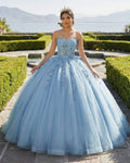 Sky Blue Ball-Gown Tulle 3D Flowers Sweetheart Quinceanera Dresses - Curvevia