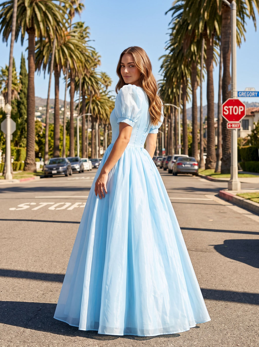 Sky Blue Chiffon A-Line Sweetheart Back Zip Floor-Length Dress with Pleated Bodice - Curvevia