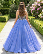 Glitter Tulle Sweetheart Black Long Quinceanera Dresses - Curvevia