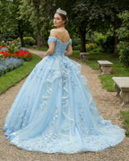 Romantic Sleeveless Beading Quinceanera Dresses with 3D Flower Appliques - Curvevia