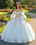 Sky Blue Quinceanera Dresses with 3D Flowers and Half Sleeve - Curvevia