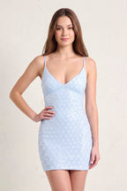 Sky Blue Spaghetti Straps Bodycon Tulle Embroidered Homecoming Dress - Curvevia