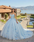 Sky Blue Tulle Ball-Gown Strapless Sleeveless Quinceanera Dresses - Curvevia