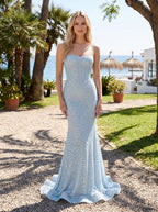 Sky Blue Tulle Mermaid Sweetheart Back Zip Floor-Length Dress with Beading - Curvevia