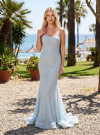 Sky Blue Tulle Mermaid Sweetheart Back Zip Floor-Length Dress with Beading - Curvevia