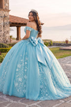 Off Shoulder 3D Floral Applique Quinceanera Dresses - Curvevia