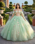 Ball Gown Sage Green Tulle Quinceanera Dress With Butterflies - Curvevia