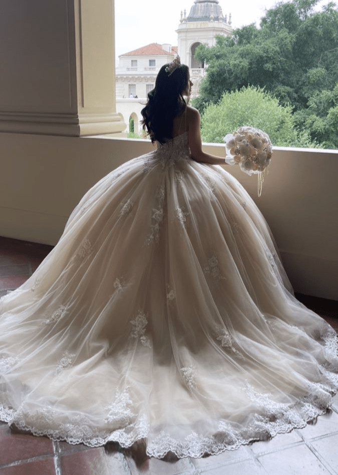 Lace Appliques Ball Gown V-Neck Quinceanera Dress - Curvevia