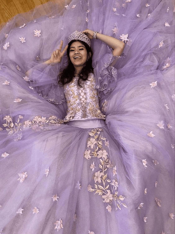 Stunning Tulle Appliques Ball Gown Princess Dress - Curvevia